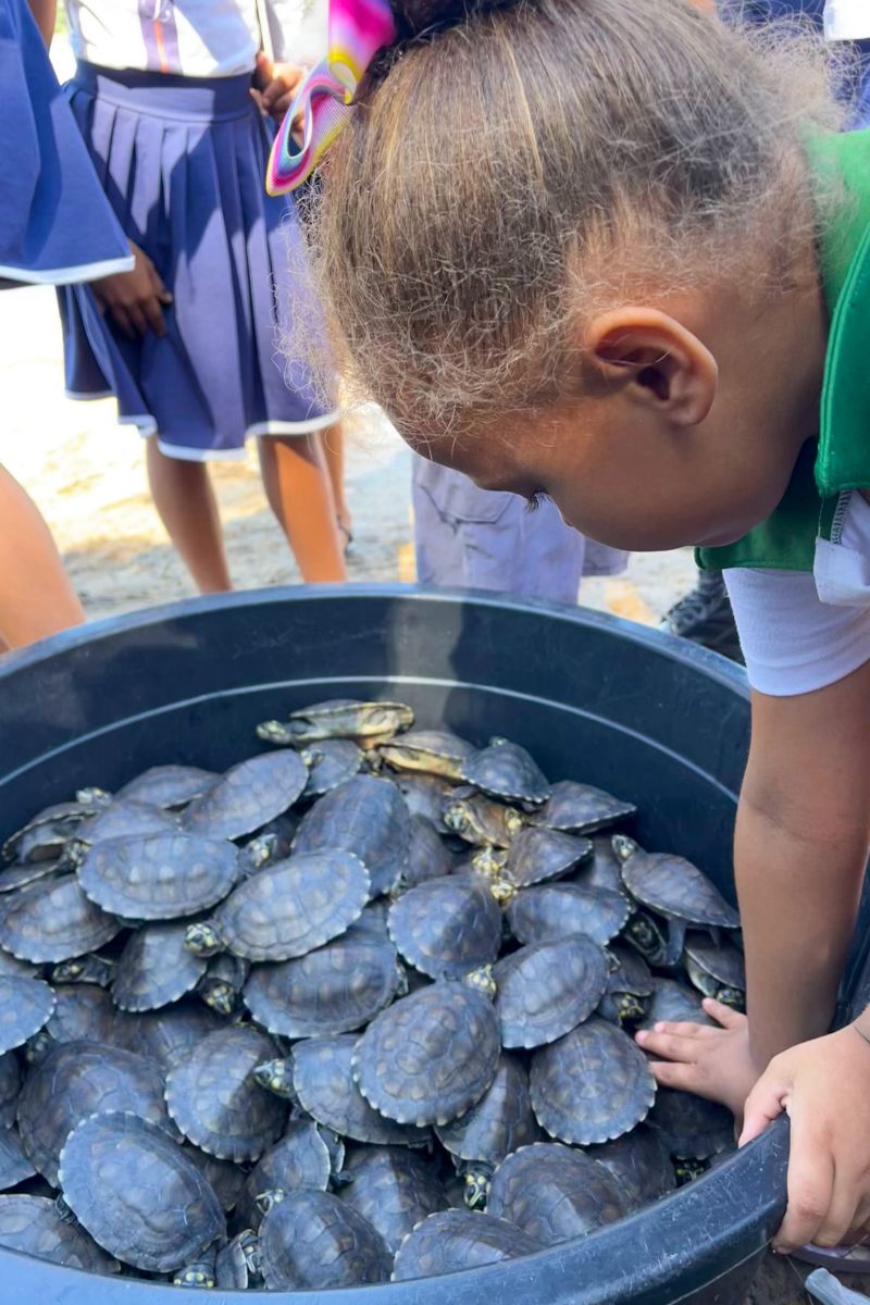  <div class='credito_fotos'>Foto: Beatriz Rabelo / Ascom Ideflor-Bio &nbsp;&nbsp;|&nbsp;&nbsp; <a href='/midias/2024/originais/20123_1e4a7e68-55b4-3332-468d-0fb3a83e0b35.jpg' download><i class='fa-solid fa-download'></i> Download</a></div>