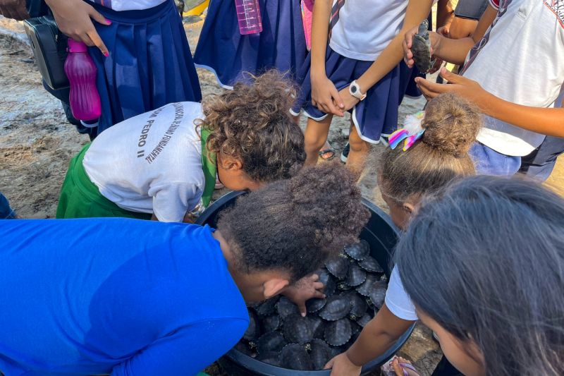  <div class='credito_fotos'>Foto: Beatriz Rabelo / Ascom Ideflor-Bio &nbsp;&nbsp;|&nbsp;&nbsp; <a href='/midias/2024/originais/20123_33a56225-f5fd-9b6e-f6a1-349c51ff14e1.jpg' download><i class='fa-solid fa-download'></i> Download</a></div>