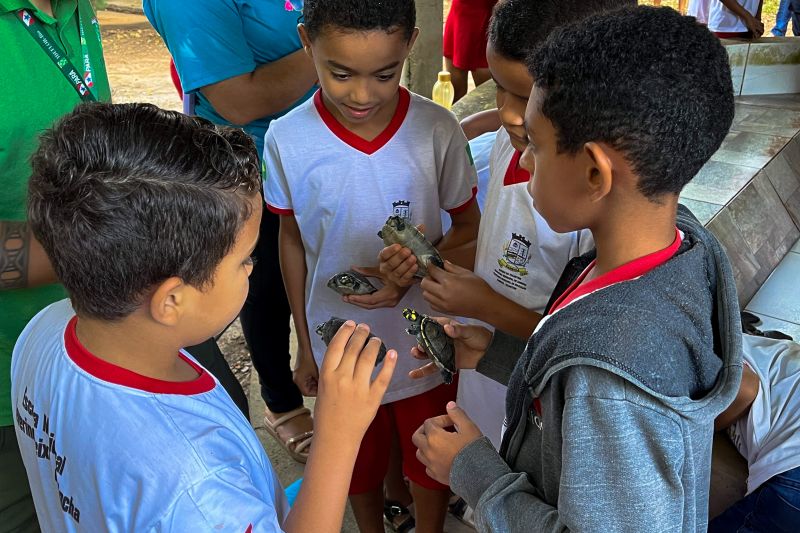  <div class='credito_fotos'>Foto: Beatriz Rabelo / Ascom Ideflor-Bio &nbsp;&nbsp;|&nbsp;&nbsp; <a href='/midias/2024/originais/20123_5d95ded5-b0e8-66fc-a60a-d9a9679c515c.jpg' download><i class='fa-solid fa-download'></i> Download</a></div>