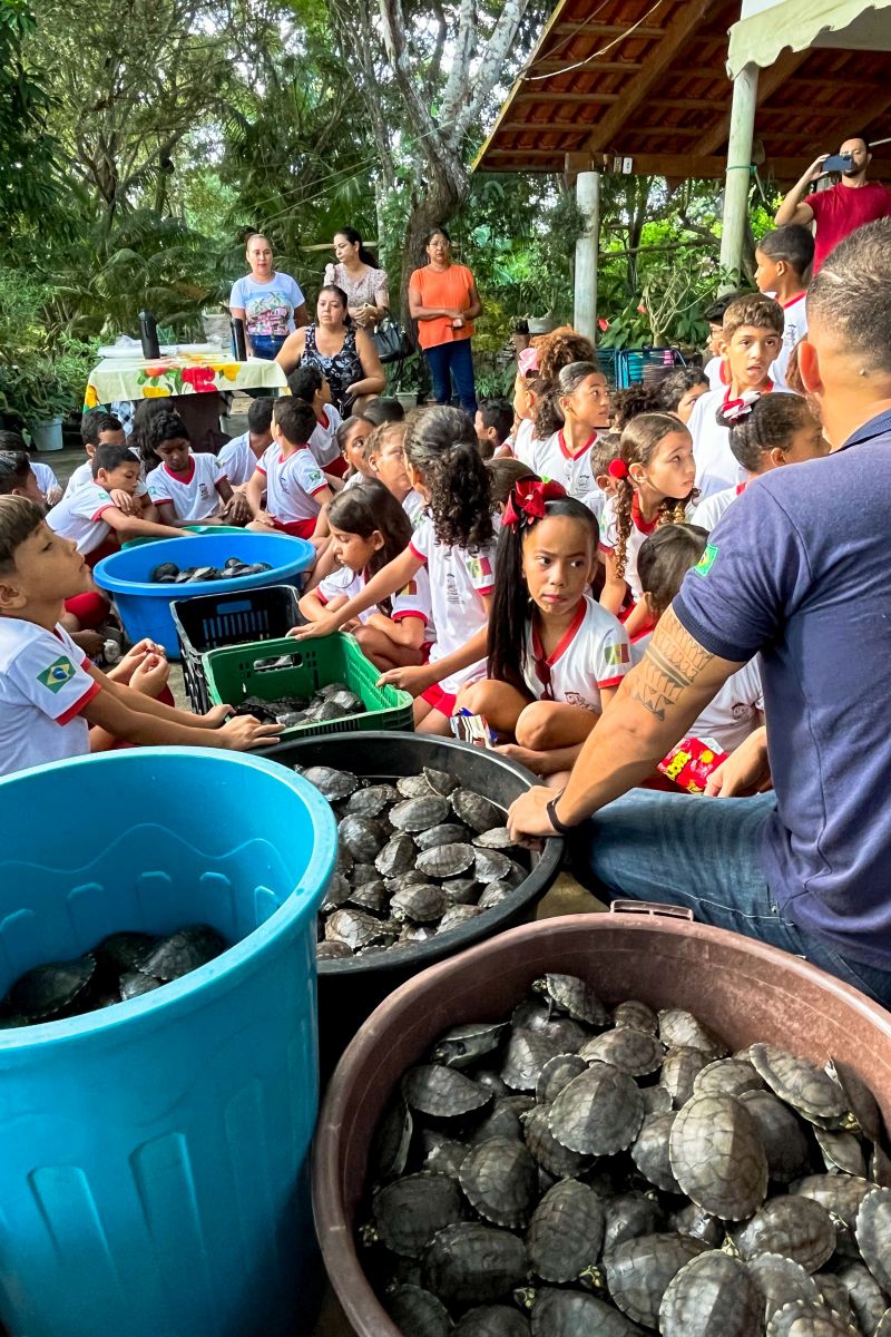  <div class='credito_fotos'>Foto: Beatriz Rabelo / Ascom Ideflor-Bio &nbsp;&nbsp;|&nbsp;&nbsp; <a href='/midias/2024/originais/20123_9e510cda-0721-3bd5-416d-4f119be9ead4.jpg' download><i class='fa-solid fa-download'></i> Download</a></div>