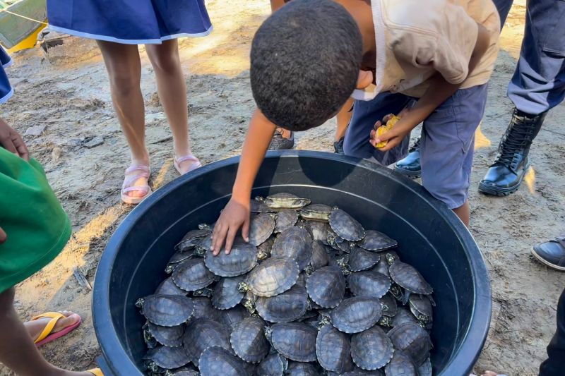  <div class='credito_fotos'>Foto: Beatriz Rabelo / Ascom Ideflor-Bio &nbsp;&nbsp;|&nbsp;&nbsp; <a href='/midias/2024/originais/20123_9f9d2a23-ebe7-0ea7-2dd4-4e0178820189.jpg' download><i class='fa-solid fa-download'></i> Download</a></div>