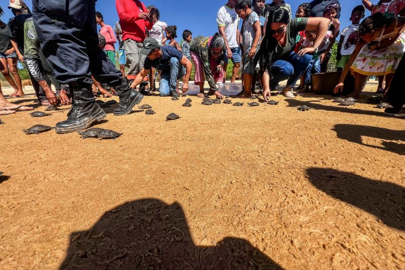 Soltura de 3 mil quelônios no rio Araguaia marcam programação pelo “Junho Verde” no sudeste paraense <div class='credito_fotos'>Foto: João Vitor Santos / Ascom Ideflor-Bio &nbsp;&nbsp;|&nbsp;&nbsp; <a href='/midias/2024/originais/20124_0cdfac15-4fb5-523f-a0a0-7f675a6eaaf2.jpg' download><i class='fa-solid fa-download'></i> Download</a></div>