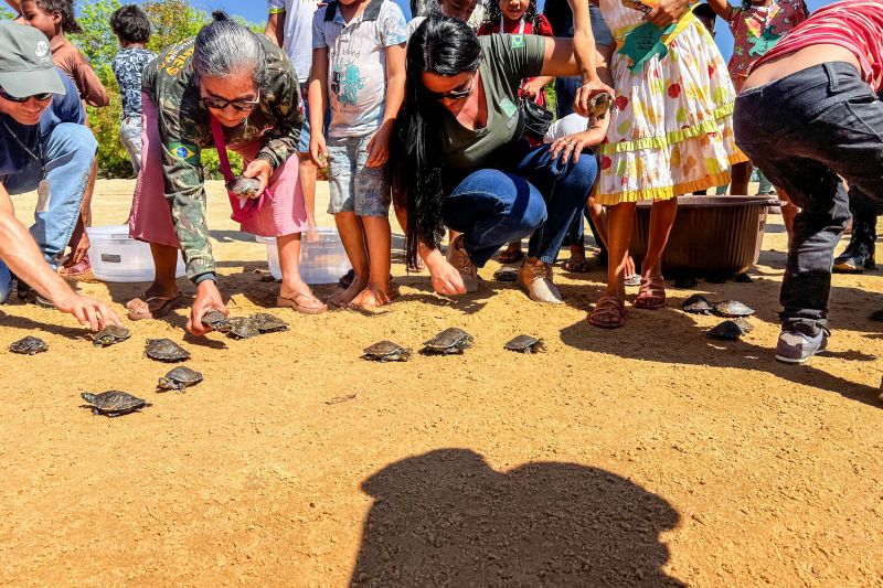 Soltura de 3 mil quelônios no rio Araguaia marcam programação pelo “Junho Verde” no sudeste paraense <div class='credito_fotos'>Foto: João Vitor Santos / Ascom Ideflor-Bio &nbsp;&nbsp;|&nbsp;&nbsp; <a href='/midias/2024/originais/20124_aa7aac0e-b91f-1edf-1c3b-ab78407e6d9f.jpg' download><i class='fa-solid fa-download'></i> Download</a></div>