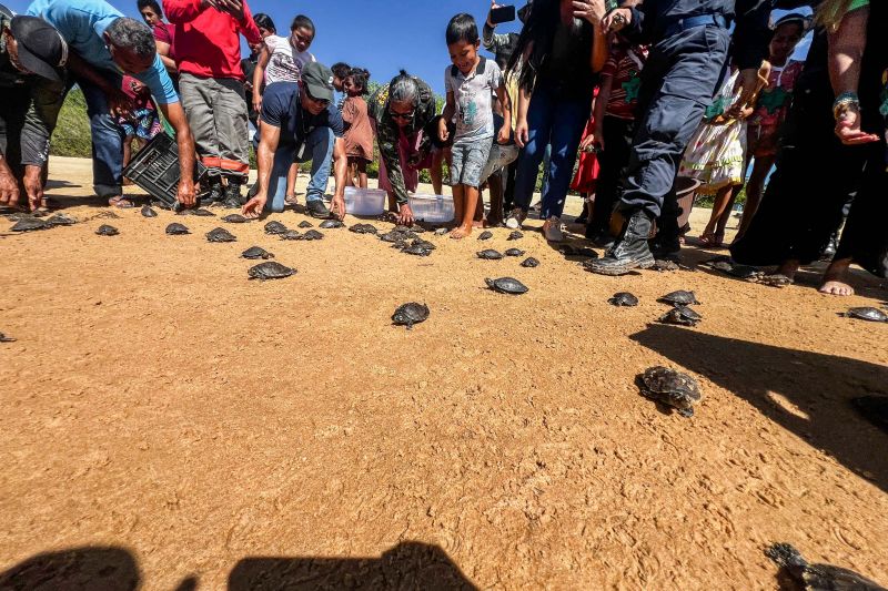Soltura de 3 mil quelônios no rio Araguaia marcam programação pelo “Junho Verde” no sudeste paraense <div class='credito_fotos'>Foto: João Vitor Santos / Ascom Ideflor-Bio &nbsp;&nbsp;|&nbsp;&nbsp; <a href='/midias/2024/originais/20124_c4a405a8-0df5-72b0-f2c2-498b2c5925c8.jpg' download><i class='fa-solid fa-download'></i> Download</a></div>