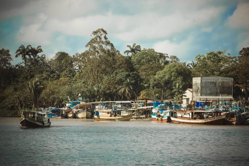  <div class='credito_fotos'>Foto: Bruno Cecim / Ag.Pará &nbsp;&nbsp;|&nbsp;&nbsp; <a href='/midias/2024/originais/20138_5907a8ba-929c-c05a-a1ac-2a3d8102ce19.jpg' download><i class='fa-solid fa-download'></i> Download</a></div>