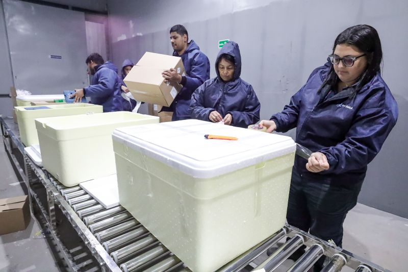  <div class='credito_fotos'>Foto: Alex Ribeiro / Ag. Pará &nbsp;&nbsp;|&nbsp;&nbsp; <a href='/midias/2024/originais/20160_0dac26f3-5501-02db-33a5-fb657184d6cc.jpg' download><i class='fa-solid fa-download'></i> Download</a></div>