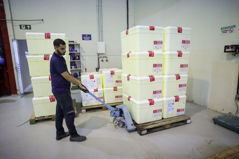  <div class='credito_fotos'>Foto: Alex Ribeiro / Ag. Pará &nbsp;&nbsp;|&nbsp;&nbsp; <a href='/midias/2024/originais/20160_2e4717b7-ca36-5d96-9c8c-1de1bb7a4544.jpg' download><i class='fa-solid fa-download'></i> Download</a></div>