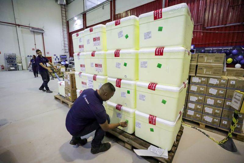  <div class='credito_fotos'>Foto: Alex Ribeiro / Ag. Pará &nbsp;&nbsp;|&nbsp;&nbsp; <a href='/midias/2024/originais/20160_4ac8bcea-278e-48fd-8b72-df23047adaca.jpg' download><i class='fa-solid fa-download'></i> Download</a></div>