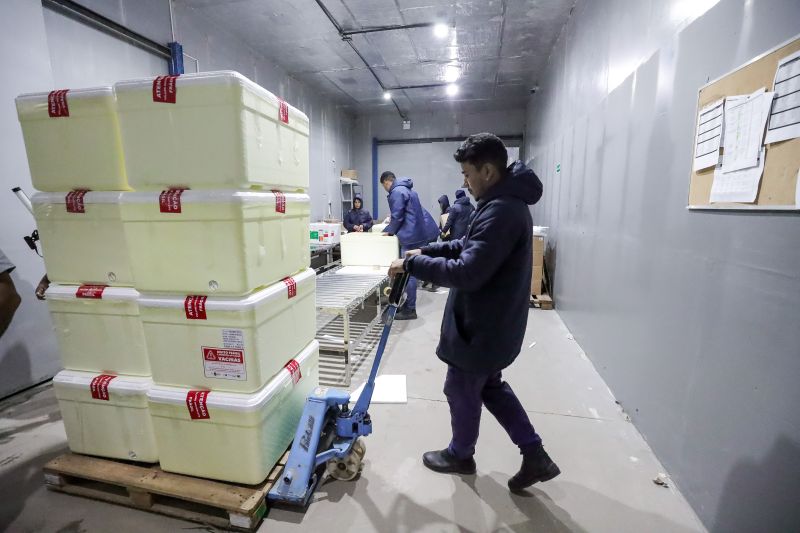  <div class='credito_fotos'>Foto: Alex Ribeiro / Ag. Pará &nbsp;&nbsp;|&nbsp;&nbsp; <a href='/midias/2024/originais/20160_4f4e9aa4-72c3-15e8-fe59-5383a0585ffe.jpg' download><i class='fa-solid fa-download'></i> Download</a></div>