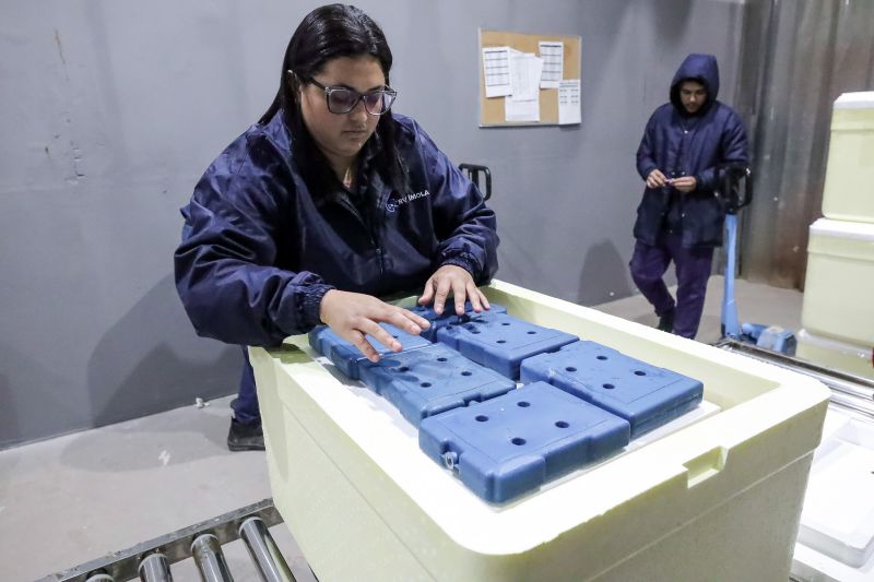  <div class='credito_fotos'>Foto: Alex Ribeiro / Ag. Pará &nbsp;&nbsp;|&nbsp;&nbsp; <a href='/midias/2024/originais/20160_7c3d1caf-0acd-59dc-b070-e9f0f45655b1.jpg' download><i class='fa-solid fa-download'></i> Download</a></div>