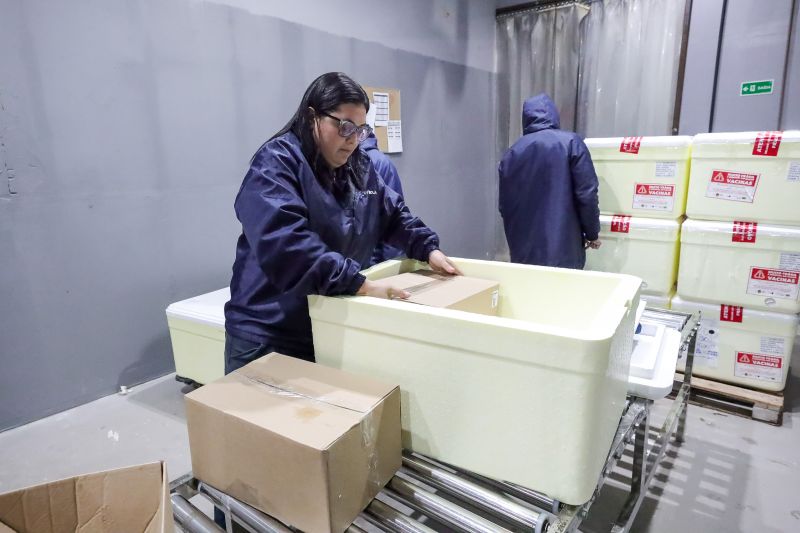  <div class='credito_fotos'>Foto: Alex Ribeiro / Ag. Pará &nbsp;&nbsp;|&nbsp;&nbsp; <a href='/midias/2024/originais/20160_9899e068-3f81-c955-6ac9-aa11e9c58285.jpg' download><i class='fa-solid fa-download'></i> Download</a></div>