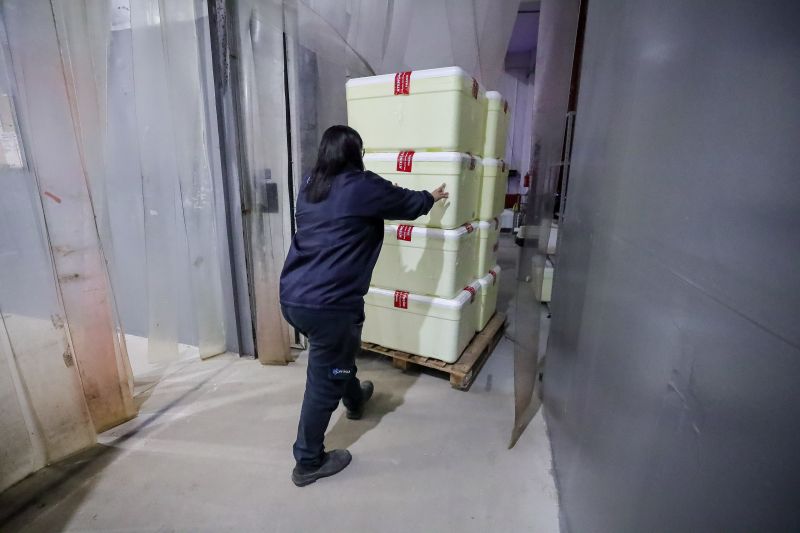  <div class='credito_fotos'>Foto: Alex Ribeiro / Ag. Pará &nbsp;&nbsp;|&nbsp;&nbsp; <a href='/midias/2024/originais/20160_a8e583a4-effc-ae62-7c0c-53b03d530fa9.jpg' download><i class='fa-solid fa-download'></i> Download</a></div>