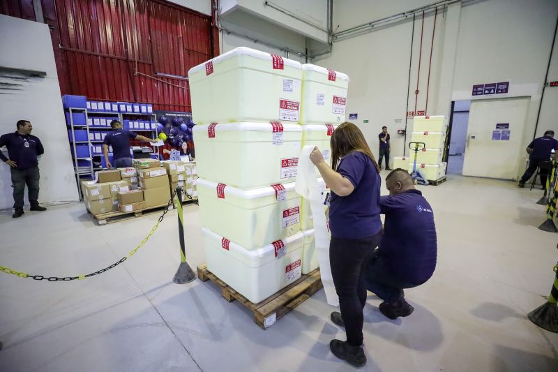  <div class='credito_fotos'>Foto: Alex Ribeiro / Ag. Pará &nbsp;&nbsp;|&nbsp;&nbsp; <a href='/midias/2024/originais/20160_b859010a-9dd7-343b-c436-088e937a4311.jpg' download><i class='fa-solid fa-download'></i> Download</a></div>