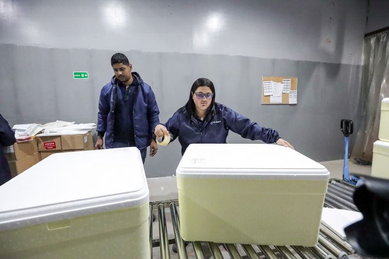  <div class='credito_fotos'>Foto: Alex Ribeiro / Ag. Pará &nbsp;&nbsp;|&nbsp;&nbsp; <a href='/midias/2024/originais/20160_be5c24a2-0afd-c9c8-f6b8-d2a8e518d844.jpg' download><i class='fa-solid fa-download'></i> Download</a></div>