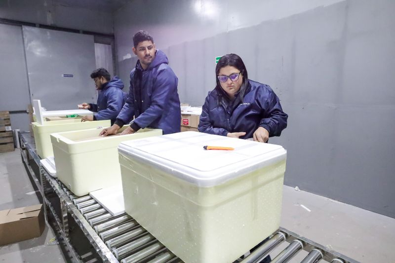  <div class='credito_fotos'>Foto: Alex Ribeiro / Ag. Pará &nbsp;&nbsp;|&nbsp;&nbsp; <a href='/midias/2024/originais/20160_c254711d-bf60-a195-ff45-ca68a44d7bfc.jpg' download><i class='fa-solid fa-download'></i> Download</a></div>