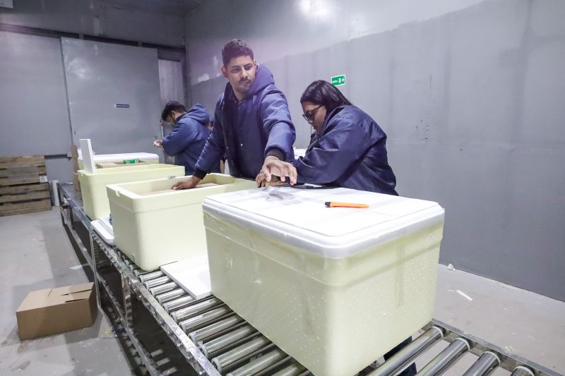  <div class='credito_fotos'>Foto: Alex Ribeiro / Ag. Pará &nbsp;&nbsp;|&nbsp;&nbsp; <a href='/midias/2024/originais/20160_c82755e7-2b56-e241-745d-a03a4dedb2ef.jpg' download><i class='fa-solid fa-download'></i> Download</a></div>