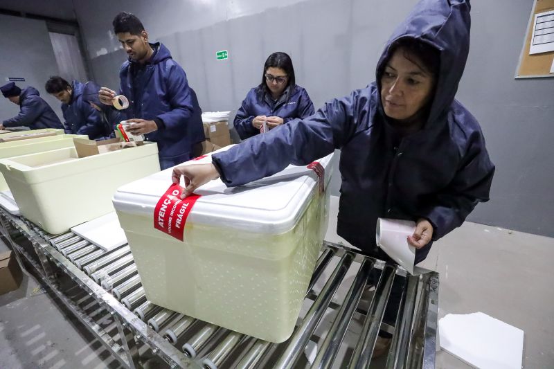  <div class='credito_fotos'>Foto: Alex Ribeiro / Ag. Pará &nbsp;&nbsp;|&nbsp;&nbsp; <a href='/midias/2024/originais/20160_e037d995-b3d0-48a9-6a4d-126444ea624b.jpg' download><i class='fa-solid fa-download'></i> Download</a></div>