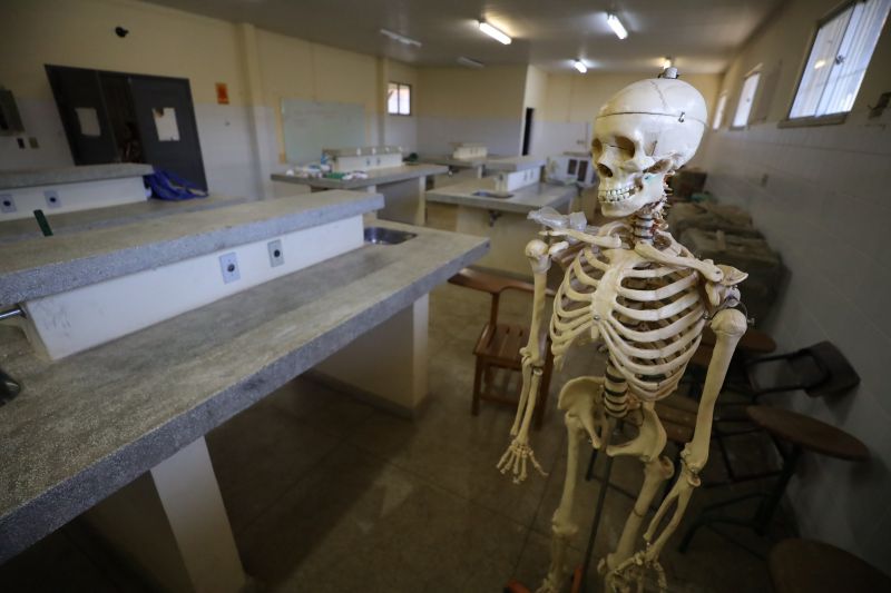  <div class='credito_fotos'>Foto: Marcelo Lelis / Ag. Pará &nbsp;&nbsp;|&nbsp;&nbsp; <a href='/midias/2024/originais/20172_7cbf65cc-6c64-c765-ec03-7afebda580c2.jpg' download><i class='fa-solid fa-download'></i> Download</a></div>