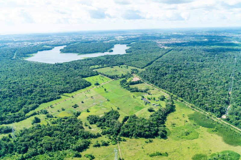  <div class='credito_fotos'>Foto: Raphael Luz / Ag. Pará &nbsp;&nbsp;|&nbsp;&nbsp; <a href='/midias/2024/originais/20218_0d83b4d8-d7af-a41a-571b-48f164d78b29.jpg' download><i class='fa-solid fa-download'></i> Download</a></div>