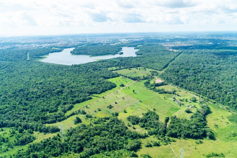  <div class='credito_fotos'>Foto: Raphael Luz / Ag. Pará &nbsp;&nbsp;|&nbsp;&nbsp; <a href='/midias/2024/originais/20218_dfd85031-d1ea-4290-109b-0033c678912a.jpg' download><i class='fa-solid fa-download'></i> Download</a></div>