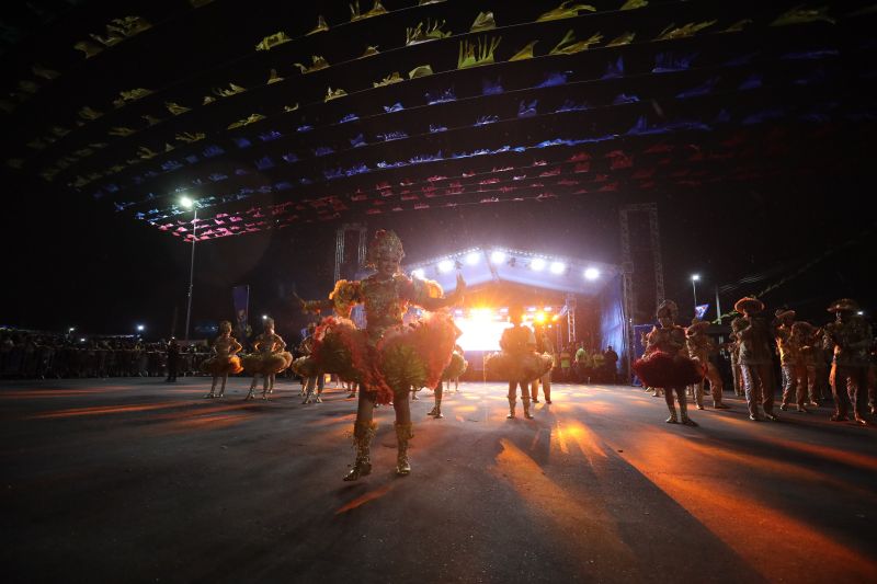  <div class='credito_fotos'>Foto: Wellyngton Coelho / Ag.Pará &nbsp;&nbsp;|&nbsp;&nbsp; <a href='/midias/2024/originais/20228_b72fc62a-7667-3761-3249-4f2e856fcc53.jpg' download><i class='fa-solid fa-download'></i> Download</a></div>