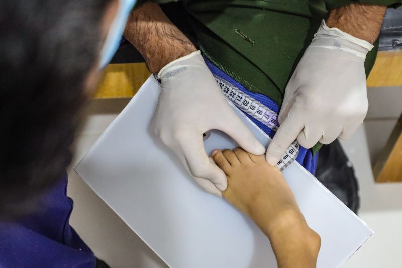  <div class='credito_fotos'>Foto: Marcelo Lelis / Ag. Pará &nbsp;&nbsp;|&nbsp;&nbsp; <a href='/midias/2024/originais/20232_6987cdaa-0873-e79a-cd82-f9e1dc49e760.jpg' download><i class='fa-solid fa-download'></i> Download</a></div>