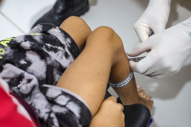  <div class='credito_fotos'>Foto: Marcelo Lelis / Ag. Pará &nbsp;&nbsp;|&nbsp;&nbsp; <a href='/midias/2024/originais/20232_85163319-e5d3-5322-a623-ec058373d5d2.jpg' download><i class='fa-solid fa-download'></i> Download</a></div>