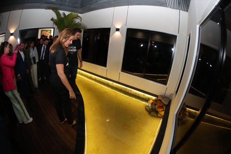  <div class='credito_fotos'>Foto: Marco Santos / Ag. Pará &nbsp;&nbsp;|&nbsp;&nbsp; <a href='/midias/2024/originais/20247_85f5c536-dc59-fa85-8701-813e53cda7c2.jpg' download><i class='fa-solid fa-download'></i> Download</a></div>