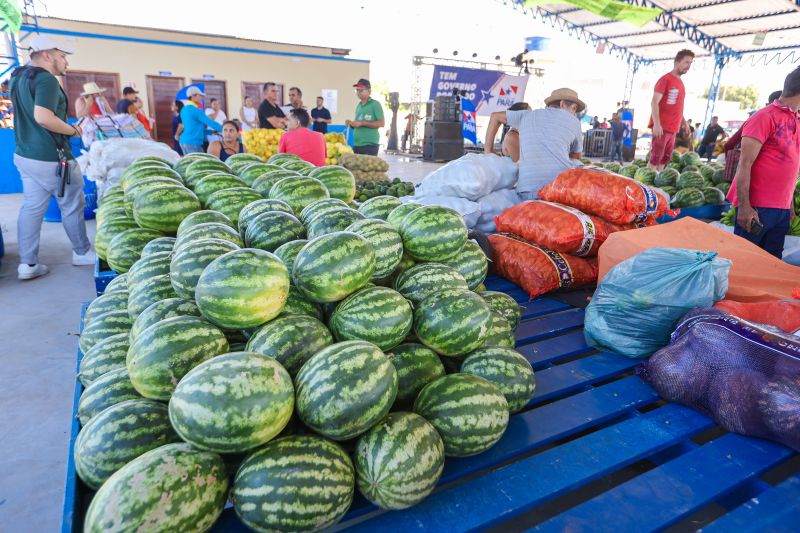  <div class='credito_fotos'>Foto: Marco Santos / Ag. Pará &nbsp;&nbsp;|&nbsp;&nbsp; <a href='/midias/2024/originais/20278_17814b51-285b-1380-e1cd-f21f3789c179.jpg' download><i class='fa-solid fa-download'></i> Download</a></div>