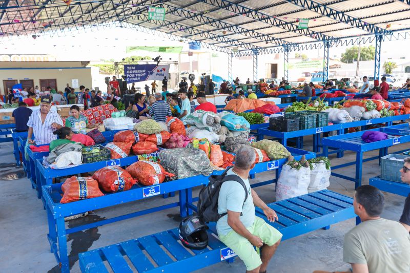  <div class='credito_fotos'>Foto: Marco Santos / Ag. Pará &nbsp;&nbsp;|&nbsp;&nbsp; <a href='/midias/2024/originais/20278_2596cce5-f385-73b5-0c5d-968d2888575b.jpg' download><i class='fa-solid fa-download'></i> Download</a></div>