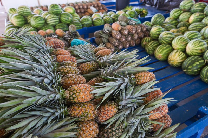  <div class='credito_fotos'>Foto: Marco Santos / Ag. Pará &nbsp;&nbsp;|&nbsp;&nbsp; <a href='/midias/2024/originais/20278_d096cf22-ab2b-071b-1863-a080d68c2d47.jpg' download><i class='fa-solid fa-download'></i> Download</a></div>