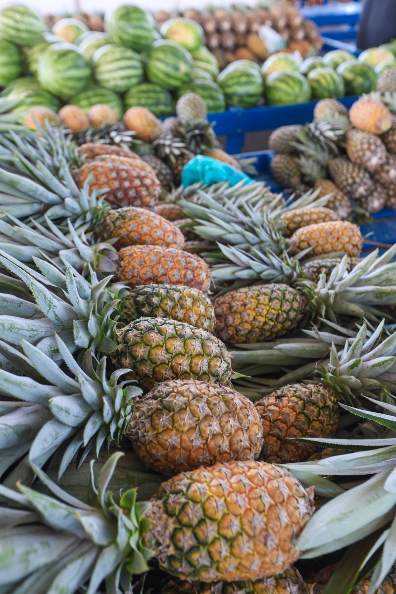  <div class='credito_fotos'>Foto: Marco Santos / Ag. Pará &nbsp;&nbsp;|&nbsp;&nbsp; <a href='/midias/2024/originais/20278_e9d9fa70-f02c-c84f-361e-bebcfb5cc5a3.jpg' download><i class='fa-solid fa-download'></i> Download</a></div>