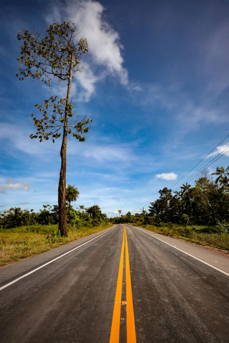  <div class='credito_fotos'>Foto: Pedro Guerreiro / Ag. Pará &nbsp;&nbsp;|&nbsp;&nbsp; <a href='/midias/2024/originais/20290_4927790a-8916-e88d-c25b-cd9bf4a723ac.jpg' download><i class='fa-solid fa-download'></i> Download</a></div>