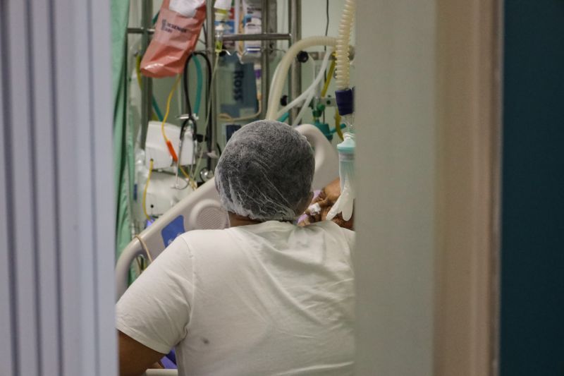  <div class='credito_fotos'>Foto: Bruno Cecim / Ag.Pará &nbsp;&nbsp;|&nbsp;&nbsp; <a href='/midias/2024/originais/20328_236a672f-363a-93a8-66c4-eaec54252ed1.jpg' download><i class='fa-solid fa-download'></i> Download</a></div>