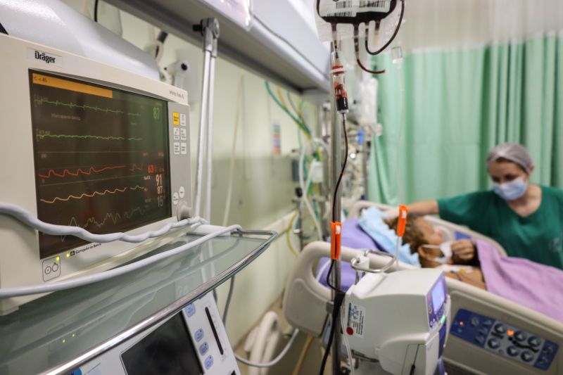  <div class='credito_fotos'>Foto: Bruno Cecim / Ag.Pará &nbsp;&nbsp;|&nbsp;&nbsp; <a href='/midias/2024/originais/20328_238cc424-7c3d-700d-ba26-de81d51d4c76.jpg' download><i class='fa-solid fa-download'></i> Download</a></div>