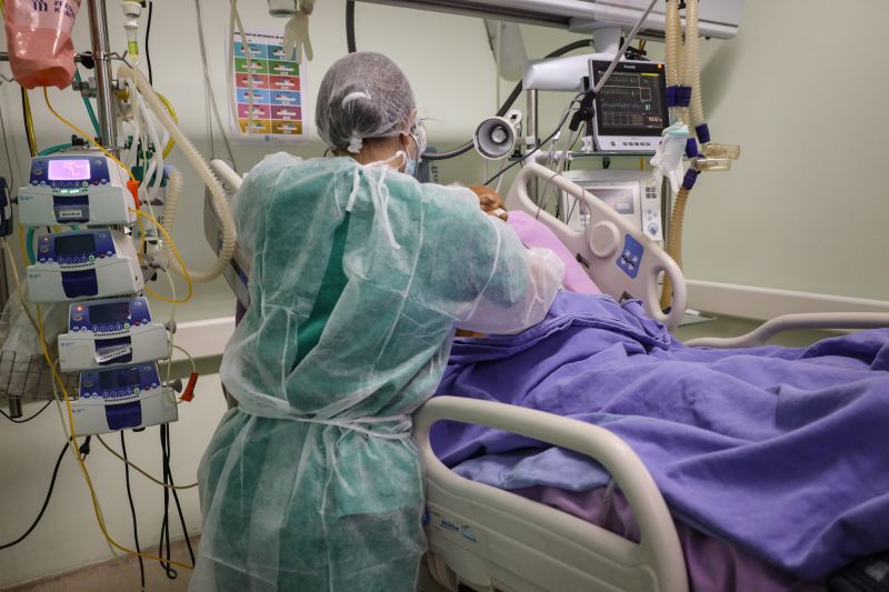  <div class='credito_fotos'>Foto: Bruno Cecim / Ag.Pará &nbsp;&nbsp;|&nbsp;&nbsp; <a href='/midias/2024/originais/20328_4604c790-d265-701e-90ea-d421c6d8fe4d.jpg' download><i class='fa-solid fa-download'></i> Download</a></div>