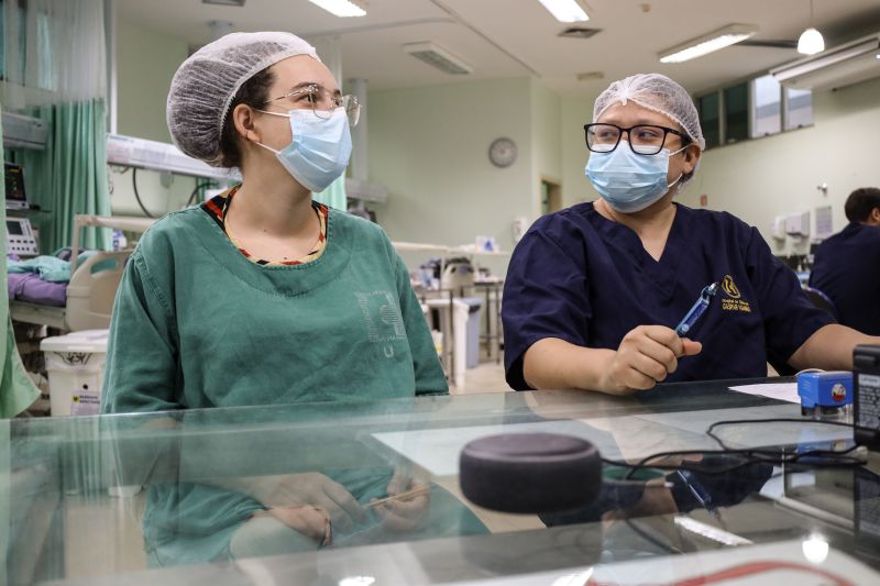  <div class='credito_fotos'>Foto: Bruno Cecim / Ag.Pará &nbsp;&nbsp;|&nbsp;&nbsp; <a href='/midias/2024/originais/20328_4bca62b7-4fdc-abf3-a527-7e8172ec53ac.jpg' download><i class='fa-solid fa-download'></i> Download</a></div>