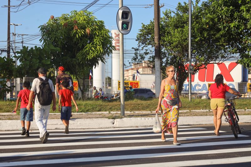  <div class='credito_fotos'>Foto: Bruno Cecim / Ag.Pará &nbsp;&nbsp;|&nbsp;&nbsp; <a href='/midias/2024/originais/20330_f7f45979-79bb-65aa-ae4d-eaee2eccd014.jpg' download><i class='fa-solid fa-download'></i> Download</a></div>