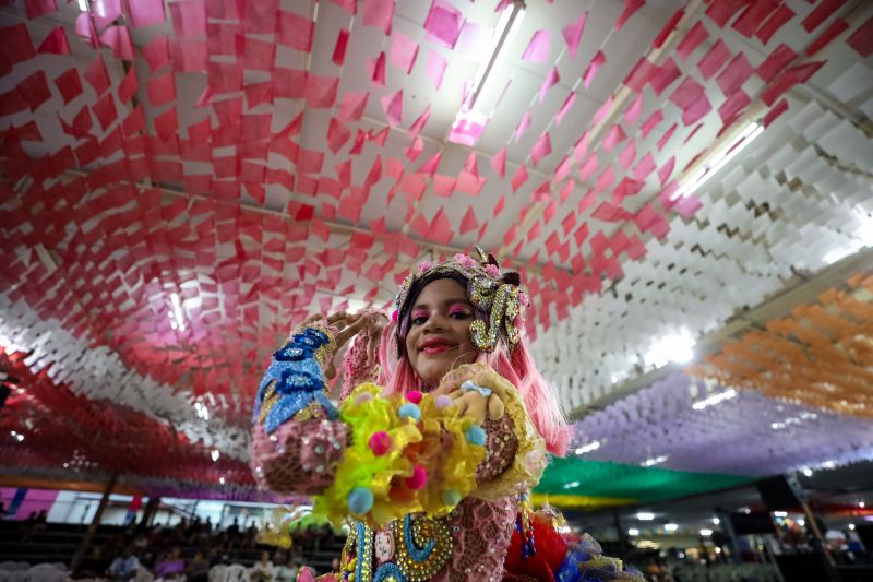  <div class='credito_fotos'>Foto: Marcelo Lelis / Ag. Pará &nbsp;&nbsp;|&nbsp;&nbsp; <a href='/midias/2024/originais/20335_4792a960-9361-163c-ad45-c69837e3e6e7.jpg' download><i class='fa-solid fa-download'></i> Download</a></div>