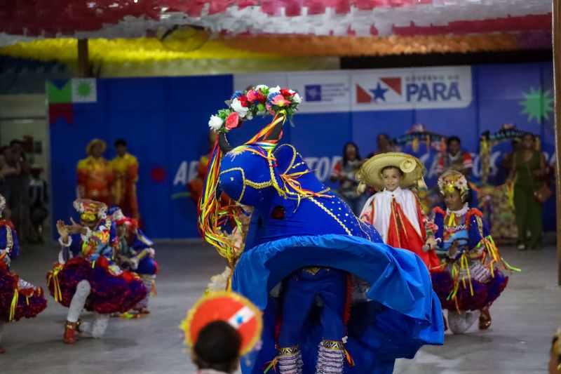  <div class='credito_fotos'>Foto: Marcelo Lelis / Ag. Pará &nbsp;&nbsp;|&nbsp;&nbsp; <a href='/midias/2024/originais/20335_f4af1212-24b7-e12f-9baf-377bdffc95e8.jpg' download><i class='fa-solid fa-download'></i> Download</a></div>