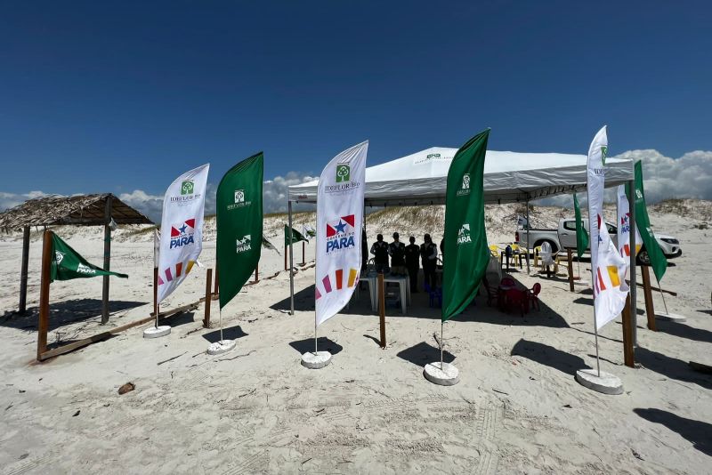  <div class='credito_fotos'>Foto: Vinícius Leal / Ascom Ideflor-Bio &nbsp;&nbsp;|&nbsp;&nbsp; <a href='/midias/2024/originais/20367_da30a410-3ca1-7508-bdf9-7c916c8fd479.jpg' download><i class='fa-solid fa-download'></i> Download</a></div>