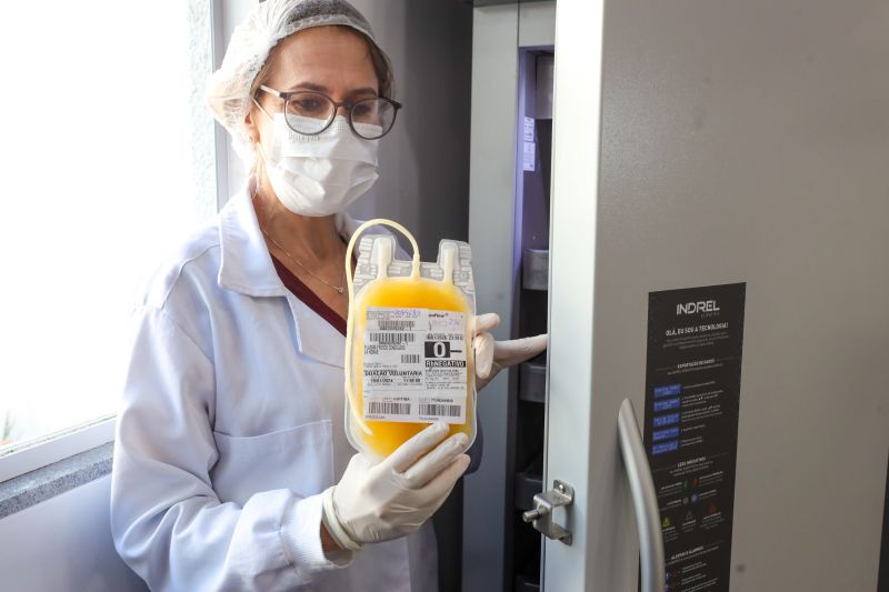  <div class='credito_fotos'>Foto: Alex Ribeiro / Ag. Pará &nbsp;&nbsp;|&nbsp;&nbsp; <a href='/midias/2024/originais/20381_f255c7b0-d368-0d4a-66b4-8164492904f6.jpg' download><i class='fa-solid fa-download'></i> Download</a></div>