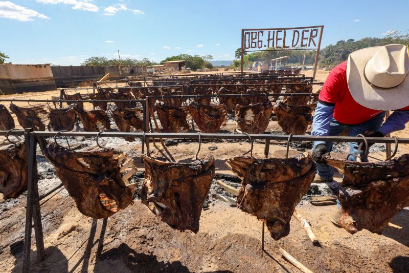  <div class='credito_fotos'>Foto: Marco Santos / Ag. Pará &nbsp;&nbsp;|&nbsp;&nbsp; <a href='/midias/2024/originais/20387_8db80405-bdea-6269-349a-c423f1c8ca2a.jpg' download><i class='fa-solid fa-download'></i> Download</a></div>