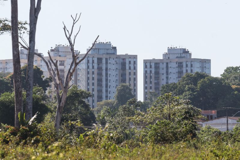  <div class='credito_fotos'>Foto: Pedro Guerreiro / Ag. Pará &nbsp;&nbsp;|&nbsp;&nbsp; <a href='/midias/2024/originais/20399_a3d8ed99-404e-07e6-c56d-67bf0ee79365.jpg' download><i class='fa-solid fa-download'></i> Download</a></div>