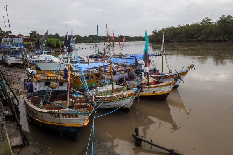  <div class='credito_fotos'>Foto: Alex Ribeiro / Ag. Pará &nbsp;&nbsp;|&nbsp;&nbsp; <a href='/midias/2024/originais/20421_ee5e7aaf-5fb3-cd42-3717-9d4934f05ad5.jpg' download><i class='fa-solid fa-download'></i> Download</a></div>