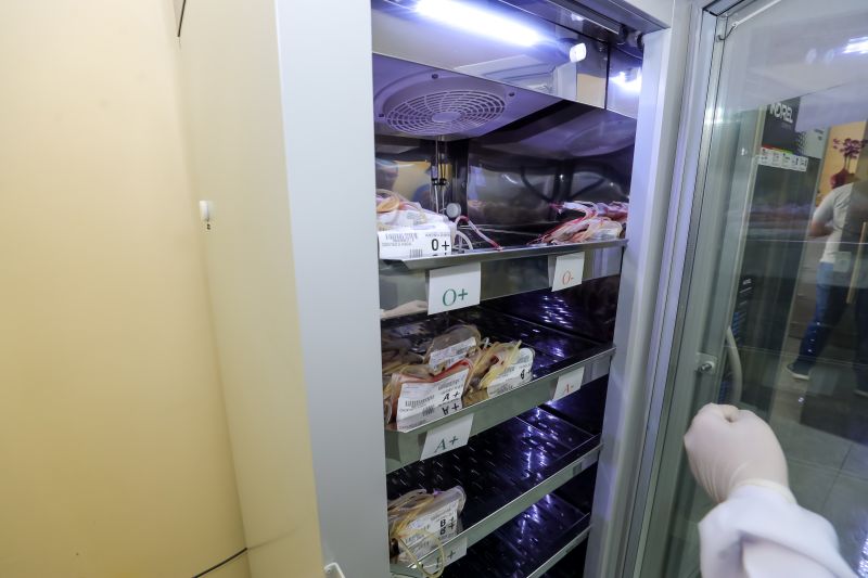  <div class='credito_fotos'>Foto: Alex Ribeiro / Ag. Pará &nbsp;&nbsp;|&nbsp;&nbsp; <a href='/midias/2024/originais/20426_bdd1b9d1-e097-e5e3-fa40-22f0038aaa13.jpg' download><i class='fa-solid fa-download'></i> Download</a></div>