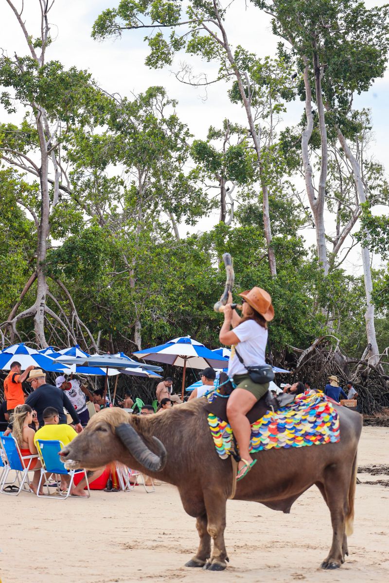  <div class='credito_fotos'>Foto: Bruno Cecim / Ag.Pará &nbsp;&nbsp;|&nbsp;&nbsp; <a href='/midias/2024/originais/20450_55829496-04a5-8c91-28d7-9864aaba3556.jpg' download><i class='fa-solid fa-download'></i> Download</a></div>