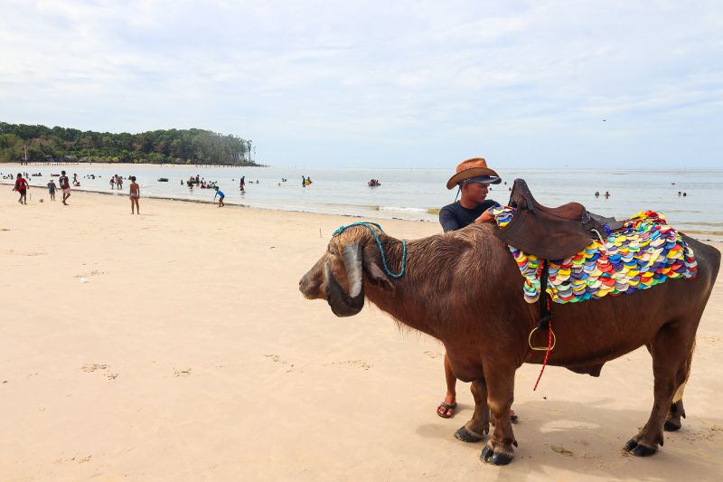  <div class='credito_fotos'>Foto: Bruno Cecim / Ag.Pará &nbsp;&nbsp;|&nbsp;&nbsp; <a href='/midias/2024/originais/20450_65b6a7d3-6cbf-616e-0fc1-2e6b8e610510.jpg' download><i class='fa-solid fa-download'></i> Download</a></div>