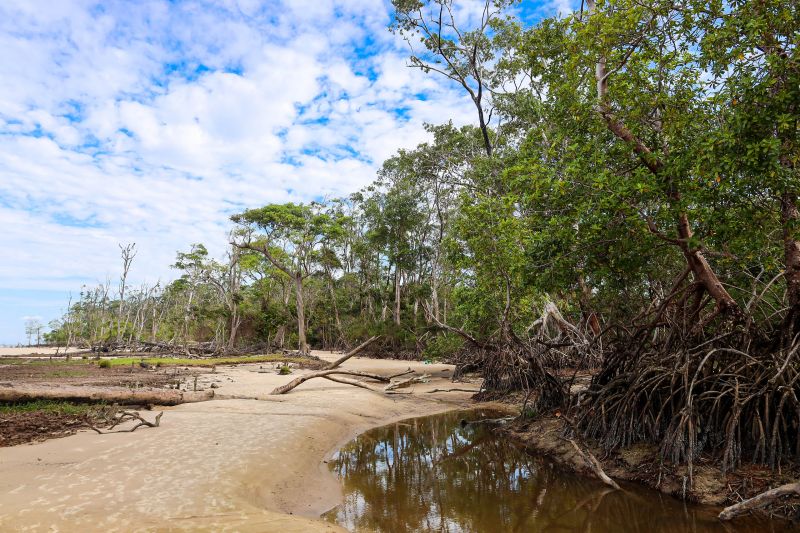  <div class='credito_fotos'>Foto: Bruno Cecim / Ag.Pará &nbsp;&nbsp;|&nbsp;&nbsp; <a href='/midias/2024/originais/20450_68f05b76-50a0-5d03-fba4-e6c1f0175f37.jpg' download><i class='fa-solid fa-download'></i> Download</a></div>