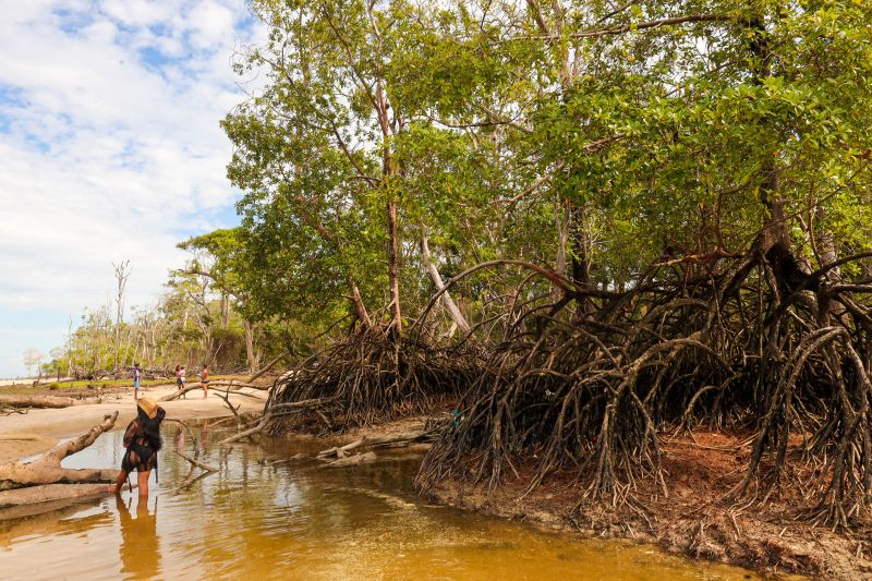  <div class='credito_fotos'>Foto: Bruno Cecim / Ag.Pará &nbsp;&nbsp;|&nbsp;&nbsp; <a href='/midias/2024/originais/20450_ffd13693-56ae-28ea-8266-1cdc092c970c.jpg' download><i class='fa-solid fa-download'></i> Download</a></div>